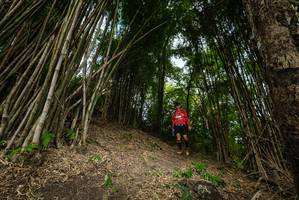 BIB: 
                            <button type="button" onclick="openModal(19395991)" class="btn btn-primary btn-sm float-right btn-popup" data-toggle="modal" data-target=".modal-high-quality">
                        <i class="fas fa-shopping-cart"></i> Add to Cart
                    </button>
                                            <button type="button" onclick="isThisMe(19395991, true)" class="btn btn-success btn-sm float-right btn-popup btn-isme hidden" data-toggle="tooltip" data-placement="bottom" title="นี่คือรูปของคุณใช่ไหม คลิกที่นี่เพื่อเอาเข้าอัลบั้ม">
                        <i class="fas fa-plus"></i> Add to album
                    </button>
                    <button type="button" onclick="isThisMe(19395991, false)" class="btn btn-warning btn-sm float-right btn-popup btn-isnotme hidden">
                        <i class="fas fa-ban"></i> Remove from album
                    </button>